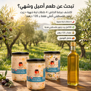 Labneh Combo     ( عرض اللبنة )